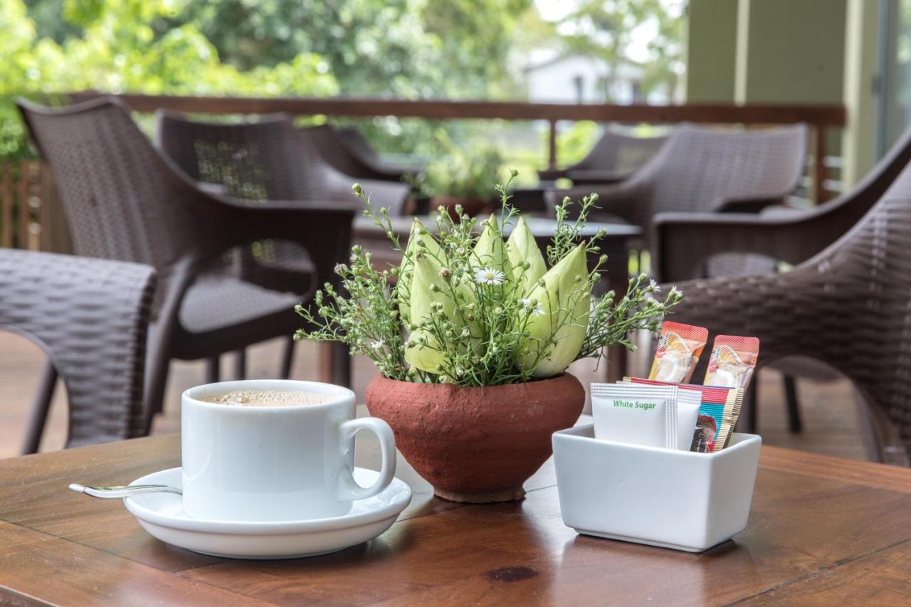Earls Rajarata Hotel Anuradhapura Kültér fotó